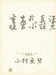 重生我真没想当暖男小说免费阅读