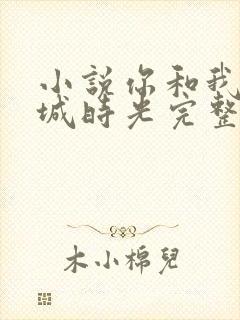 小说你和我的倾城时光完整版