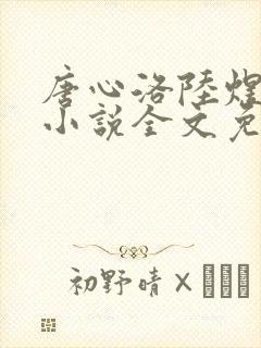 唐心洛陆煜宸的小说全文免费阅读