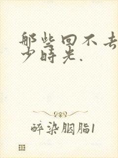 那些回不去的年少时光.