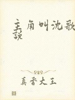 主角叫沈歌的小说