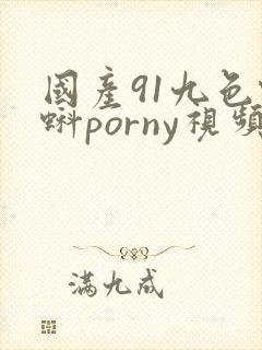国产91九色蝌蚪porny视频网