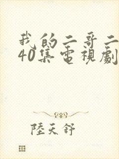 我的二哥二嫂第40集电视剧