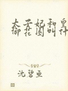 太子妃和皇帝在御花园叫什么小说