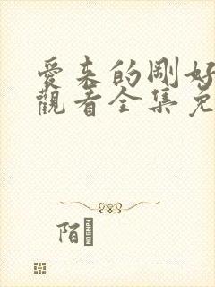 爱来的刚好在线观看全集免费播放