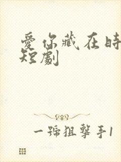 爱你藏在时光里短剧