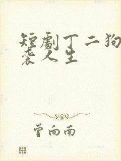 短剧丁二狗的逆袭人生