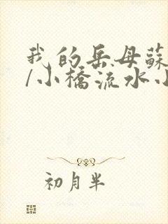 我的岳母苏沛真/小桥流水小说