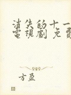 消失的十一层 电视剧 免费