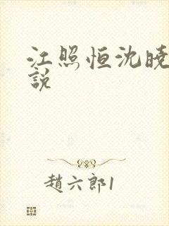 江照恒沈晓雨小说