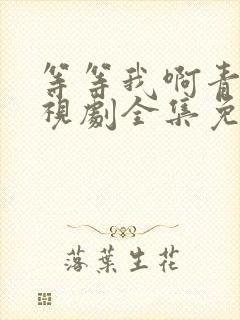 等等我啊青春电视剧全集免费观看封面