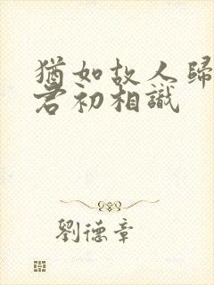 犹如故人归,与君初相识封面