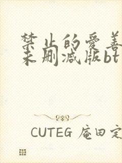 禁止的爱善良的未删减版bt