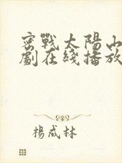 密战太阳山电视剧在线播放