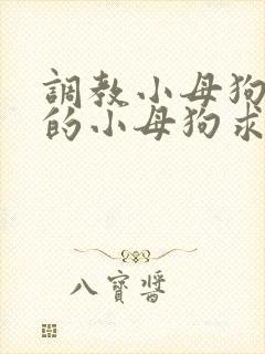 调教小母狗 操的小母狗求饶