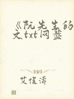 《阮先生的》全文txt网盘