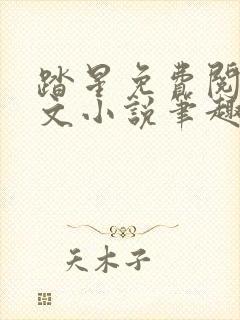 踏星免费阅读全文小说笔趣阁