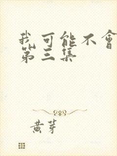 我可能不会爱你第三集