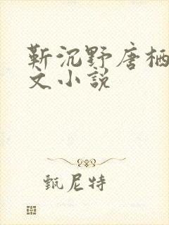 靳沉野唐栖雾全文小说