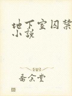 地下室囚禁少女小说