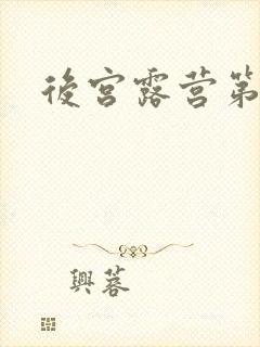 后宫露营第二季