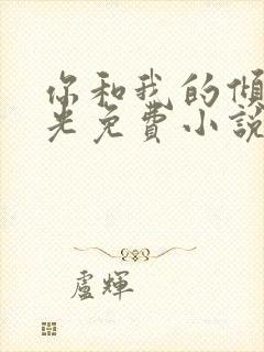 你和我的倾城时光免费小说