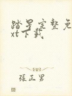 踏星完整免费txt下载