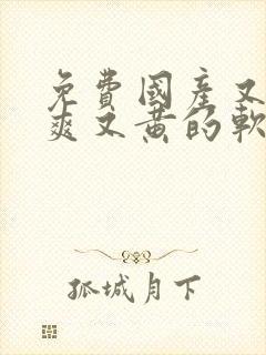 免费国产又色又爽又黄的软件