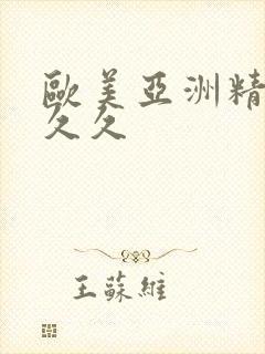 欧美亚洲精品久久久