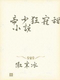 帝少狂宠甜蜜妻 小说