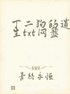 丁二狗的逍遥人生txt网盘