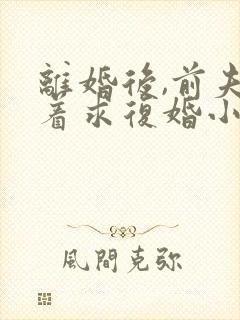 离婚后,前夫哭着求复婚小说全文在线阅读