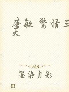 唐敏 惊情三十天