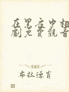 在黑夜中相拥短剧免费观看