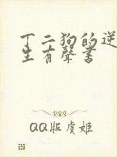 丁二狗的逆袭人生有声书