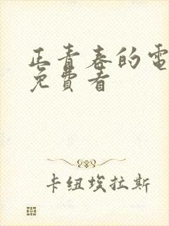 正青春的电视剧免费看