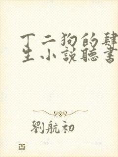 丁二狗的肆意人生小说听书