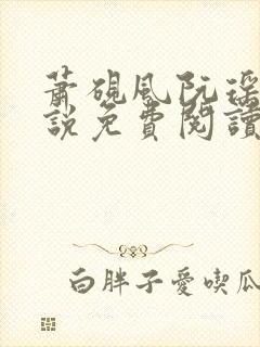 萧砚风阮瑶光小说免费阅读最新章节