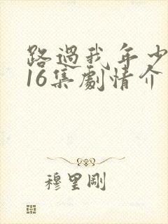 路过我年少时光16集剧情介绍