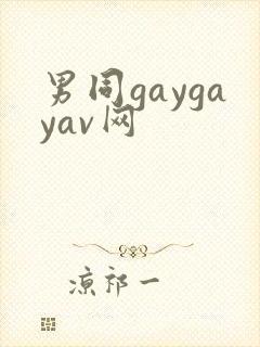 男同gaygayav网