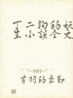丁二狗的妖孽人生小说全文阅读封面