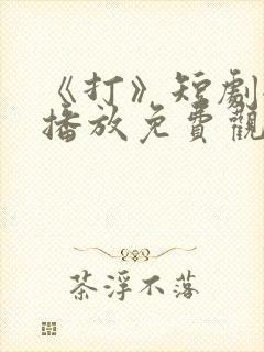 《打》短剧全集播放免费观看