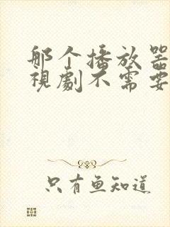 那个播放器看电视剧不需要vip