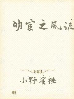 明宦之风流无边封面
