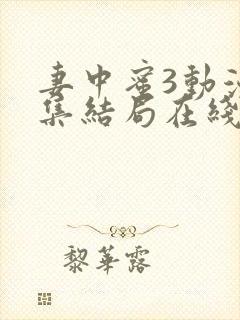 妻中蜜3动漫全集结局在线观看