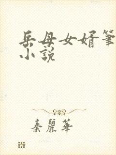 岳母女婿笔趣阁小说