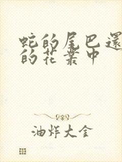 蛇的尾巴还在我的花丛中封面