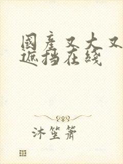 国产又大又黄无遮挡在线