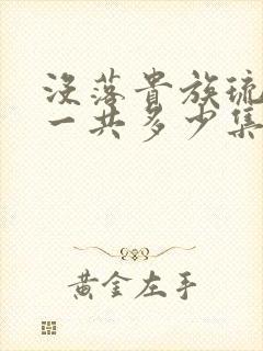 没落贵族琉璃川一共多少集