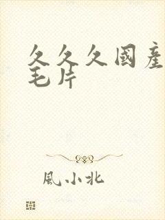 久久久国产精品毛片